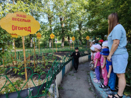 «Наш веселый огород»! «Наш веселый огород»!.