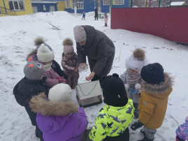 Птицам холодно зимой Птицам холодно зимой.