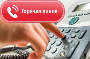 «Горячая линия» по вопросам организации детского отдыха, качества и безопасности детских товаров «Горячая линия» по вопросам организации детского отдыха, качества и безопасности детских товаров.
