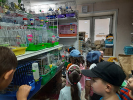 Экскурсия в зоомагазин «Котопёс» Экскурсия в зоомагазин «Котопёс».