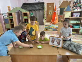 «О чем могут рассказать деньги?» «О чем могут рассказать деньги?».
