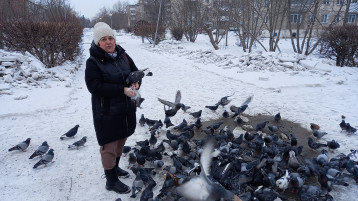 «Трудно птицам зимовать – будем птицам помогать» «Трудно птицам зимовать – будем птицам помогать».